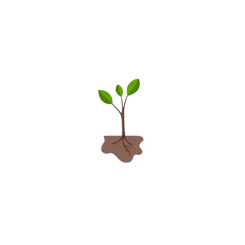 Don plant
