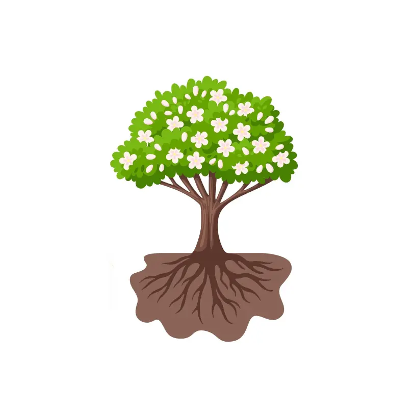 Don Arbre
