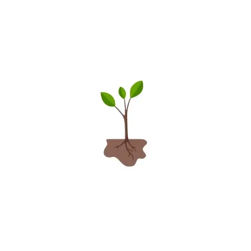 Don plant
