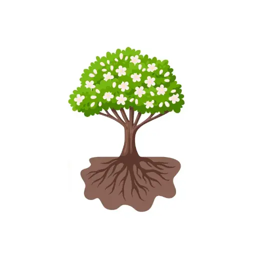 Don Arbre